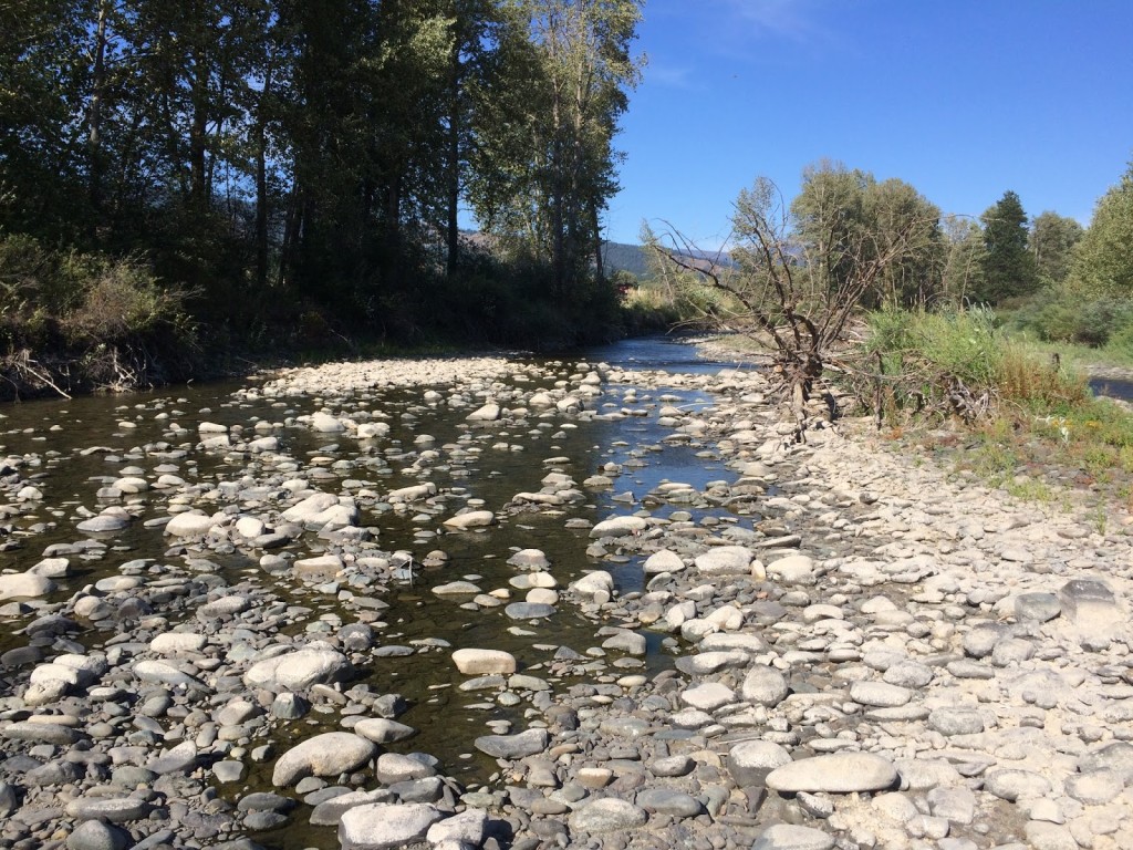 Teanaway River near Cle Elum